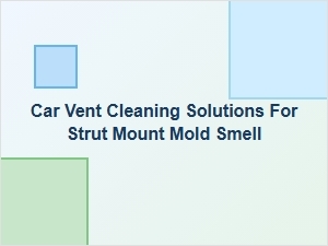Cleaning Strut Mount Vents to Remove Mold Odor