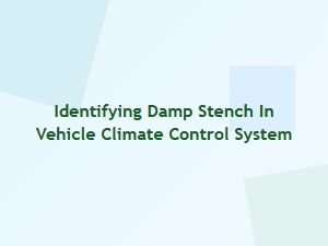 How to Identify a Damp Stench in Your Car's Climate System