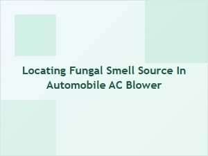 Locating a Fungal Smell in Your Car Ac Blower