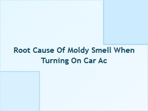 What Causes Moldy Smells From Car Air Conditioning