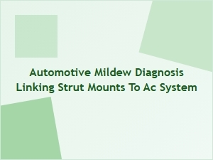 Diagnosing Mold From Strut Mounts to the Ac System