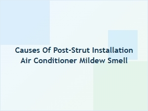Post-Strut Installation Air Conditioner Mildew Causes