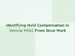 Diagnosing Hvac Mold From Recent Strut Work