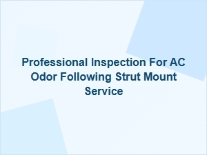 Uncovering Mold After Suspension Service