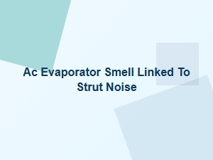 Are Your Strut Sounds Linked to a Musty Ac Smell?