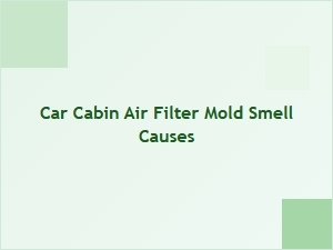 Why My Car Ac Smells Musty: Cabin Filter Mold Causes