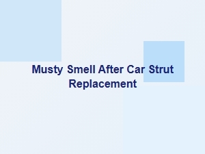 Musty Smell After Car Strut Replacement