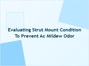 Evaluating Strut Mount Condition to Prevent Ac Mildew Odor