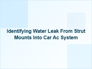 Inspecting Strut Mounts for Ac System Water Leaks