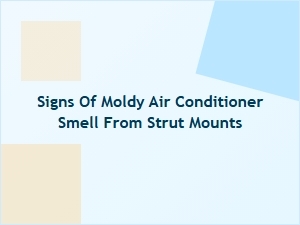 Recognizing Mold Odors During Strut Mount Checks