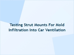 Testing Strut Mounts for Ventilation Mold Risks